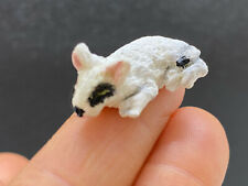 Animals pet miniature for sale  Landers