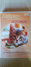 Verschenken dvd katzenbabies gebraucht kaufen  Neustadt a.d.Donau