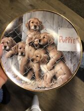 adopt puppy for sale  Canton