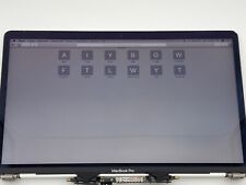 Riginal display macbook gebraucht kaufen  Kastellaun