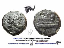 Roman republic testa usato  Pulsano
