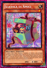 Scatola amici box usato  Venezia