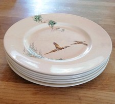 Royal doulton coppice for sale  POOLE