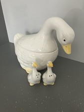 Vintage duck egg for sale  PLYMOUTH