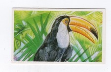 Usado, Cartão Brooke Bond Tea Going Wild Animal. #32 Toco Toucan comprar usado  Enviando para Brazil