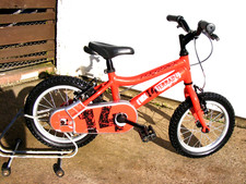 Fantastic boys ridgback for sale  BROUGH