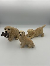 Golden retriever puppy for sale  Rockford