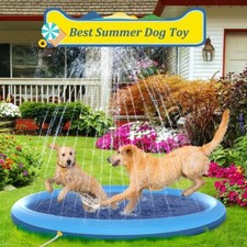 Hundepool hunde swimmingpool gebraucht kaufen  Aspisheim, Grolsheim