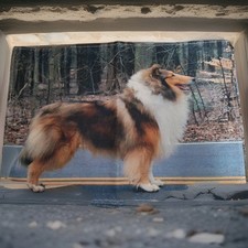 Platzdeckchen leinen motiv gebraucht kaufen  Gotha