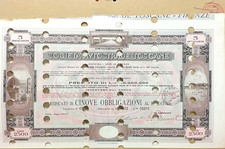 Titolo storico società usato  Cattolica
