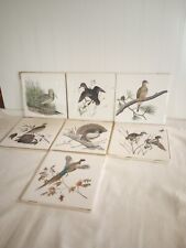 Bird tiles made for sale  Rhinelander