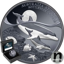 Großer tümmler dolphin gebraucht kaufen  Ansbach