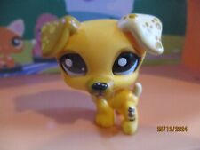 Petshop dog jack d'occasion  Expédié en Belgium