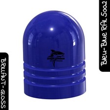Poudre bleu ral d'occasion  Diemeringen