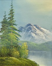 Hagel alpine mountain for sale Hagel alpine mountain for sale  THIRSK