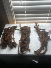 100 real naturally for sale  Conyers