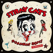 Stray cats runaway for sale  UK