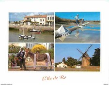 Ile ré multivues d'occasion  Fruges