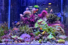 hang refugium for sale hang refugium for sale Naples