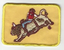 Bull riding sew for sale  Corpus Christi
