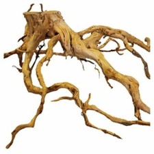 Azalea root natural for sale  WOLVERHAMPTON