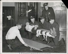 1940 press photo for sale  Memphis