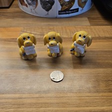 Andrex puppy small for sale  NORWICH