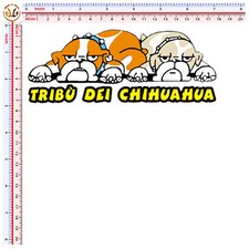 Tribu dei chihuahua usato  Roma