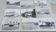 Nine old black for sale  Grants Pass
