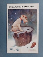 1930s studdy terrier for sale  KING'S LYNN