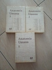 Anatomia umana balboni usato  Avellino