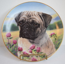 Pug dog collector for sale  Portland