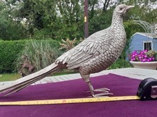 Large silver pheasant for sale  SALISBURY