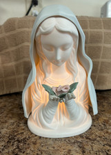 Beautiful sanmyro virgin for sale  Pike