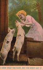 Vintage postcard 1910s for sale  Boiling Springs