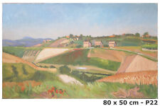 Paesaggio campagna dipinto usato  Torino
