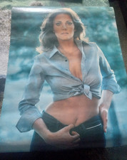 Lynda carter 20x27 for sale  Tazewell