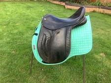 English saddle horse for sale  STAFFORD