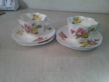 Shelley begonia trios for sale  STOKE-ON-TRENT