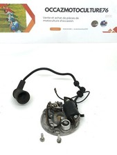 Allumage tronçonneuse stihl d'occasion  Bolbec