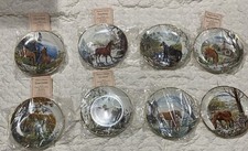 Country season horses for sale  Pineville
