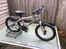 Ridgeback dimension childs for sale Ridgeback dimension childs for sale  MILTON KEYNES