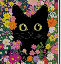 Black cat spring for sale  Dunedin
