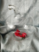 Blumen glas blumenvase gebraucht kaufen  Würzburg
