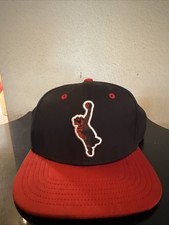 Portland trailblazers blaze for sale  Beaverton