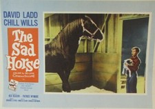Movie sad horse for sale  Sparta