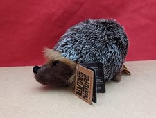 Living nature hedgehog for sale  TELFORD