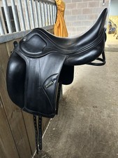 17.5 amerigo black for sale  CHIPPENHAM