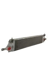 14461bb30a radiatore intercool usato  Castagnaro