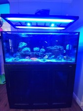 Innovative marine int100 for sale  Manchester